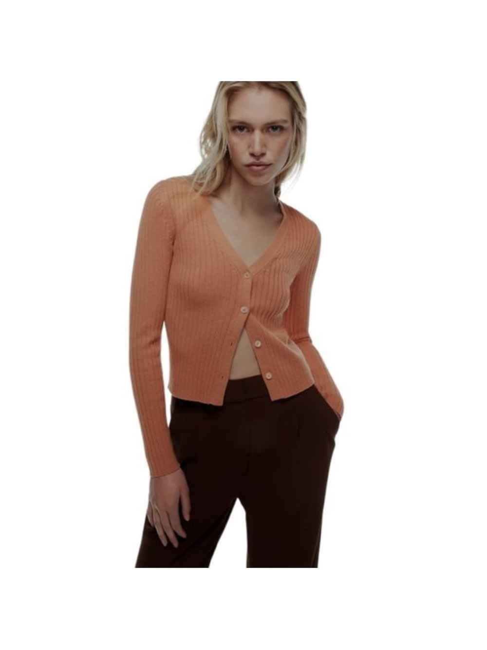 Aritzia Wilfred Manila
Cardigan
